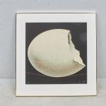 1741 2009 Färglitografi